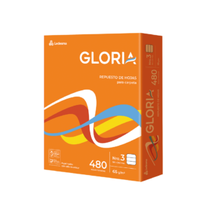 REPUESTO GLORIA MAXI X 480 HJ RY