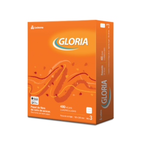 REPUESTO GLORIA MAXI X 480 HJ CD