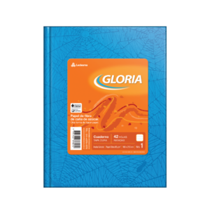 CUADERNO GLORIA FORRADO ARAÑA TAPA DURA X 48 HJ RY CELESTE