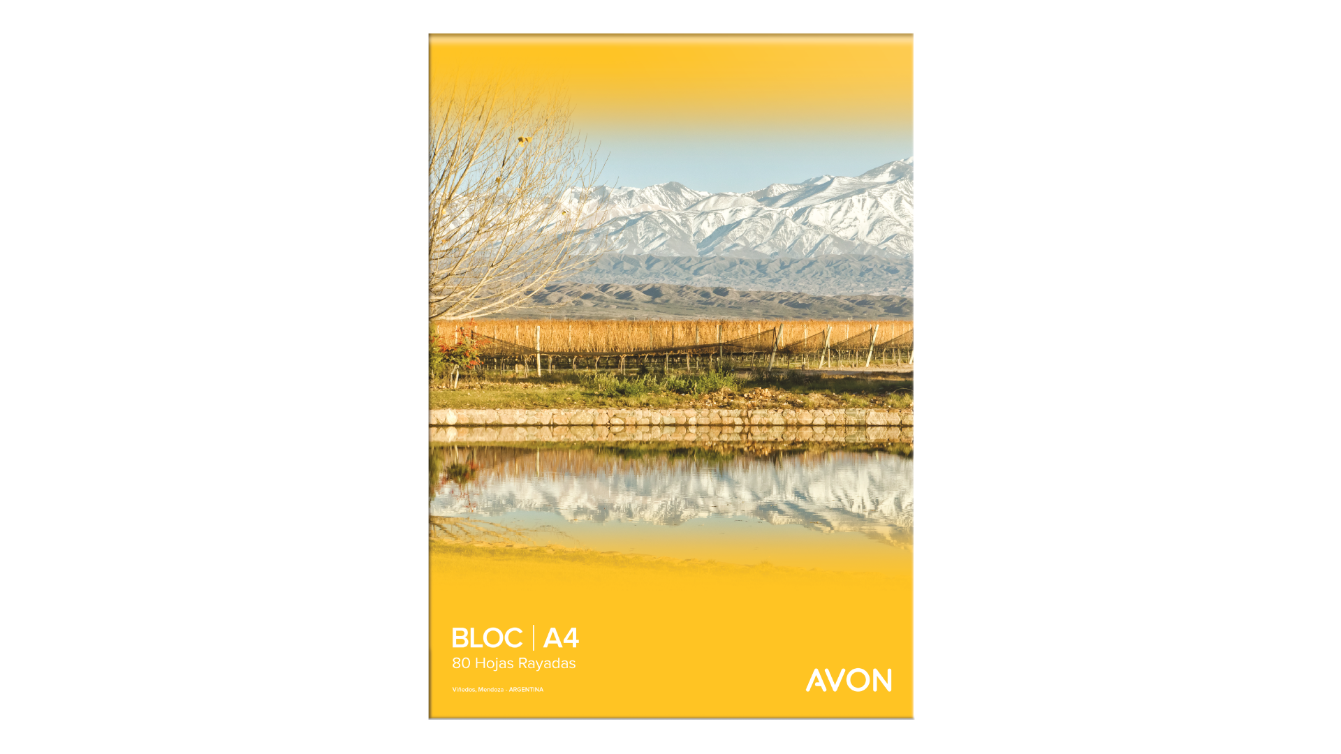 BLOCK AVON A4 X 80 HJ RY 2 PERFORACIONES