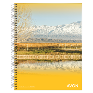CUADERNO AVON 29/7 X 84 HJ CD