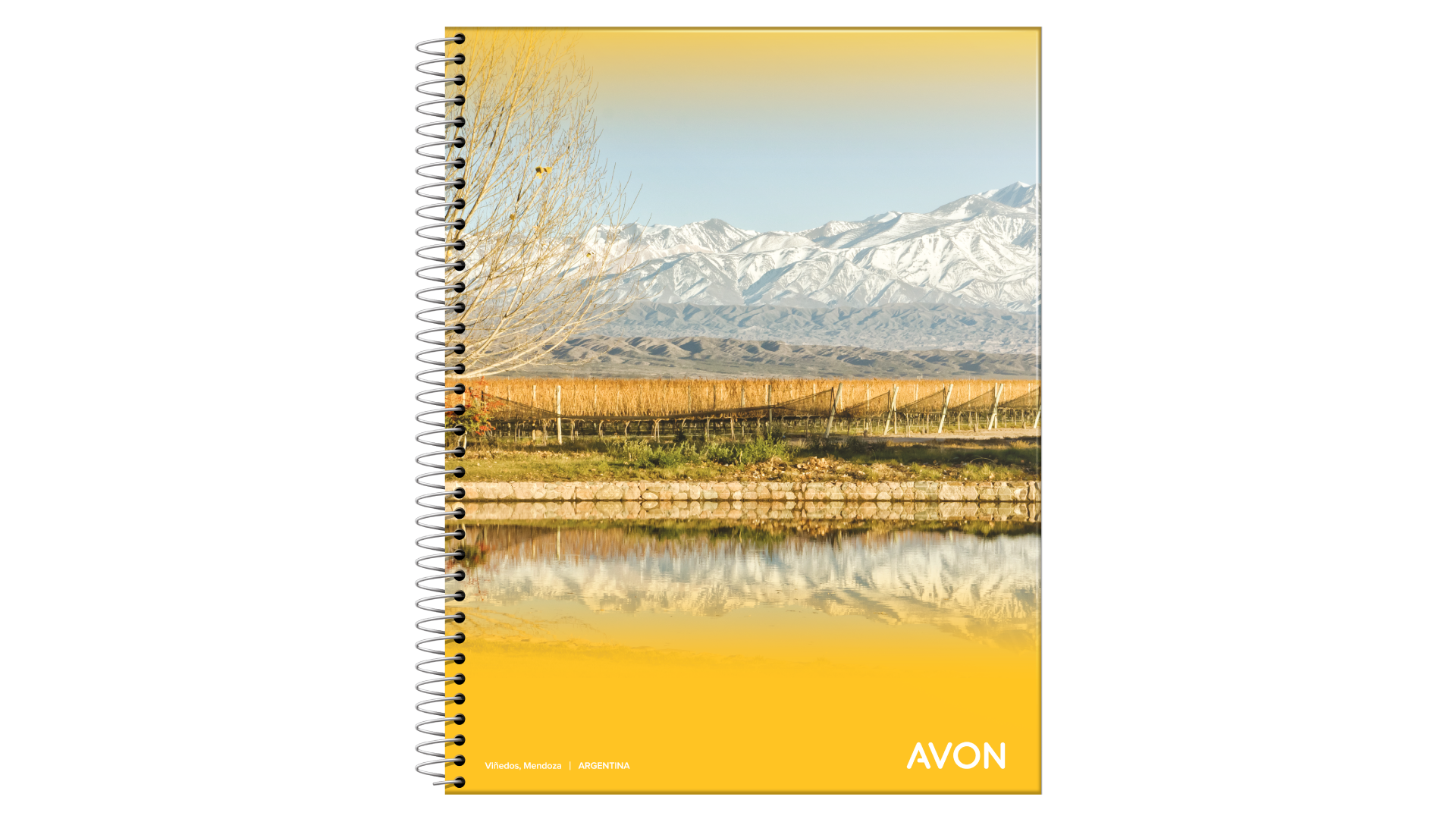CUADERNO AVON 29/7 X 84 HJ CD