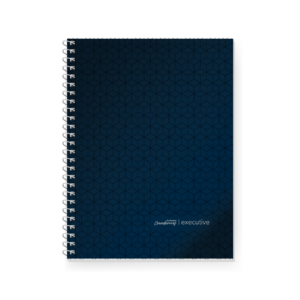 CUADERNO LEDESMA EXECUTIVE 29/7 X 84 HJ RY