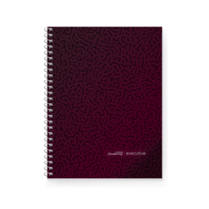 CUADERNO LEDESMA EXECUTIVE 29/7 X 84 HJ CD
