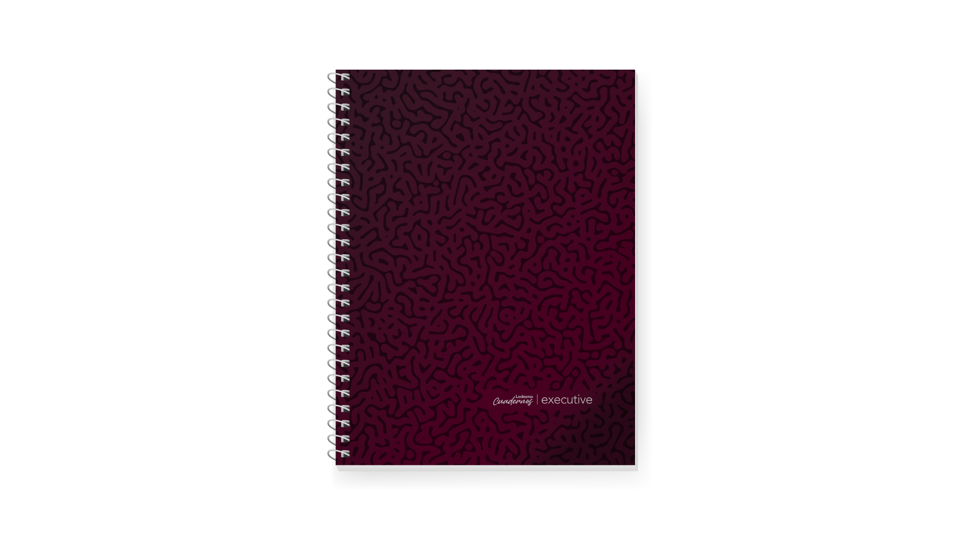 CUADERNO LEDESMA EXECUTIVE 29/7 X 84 HJ CD