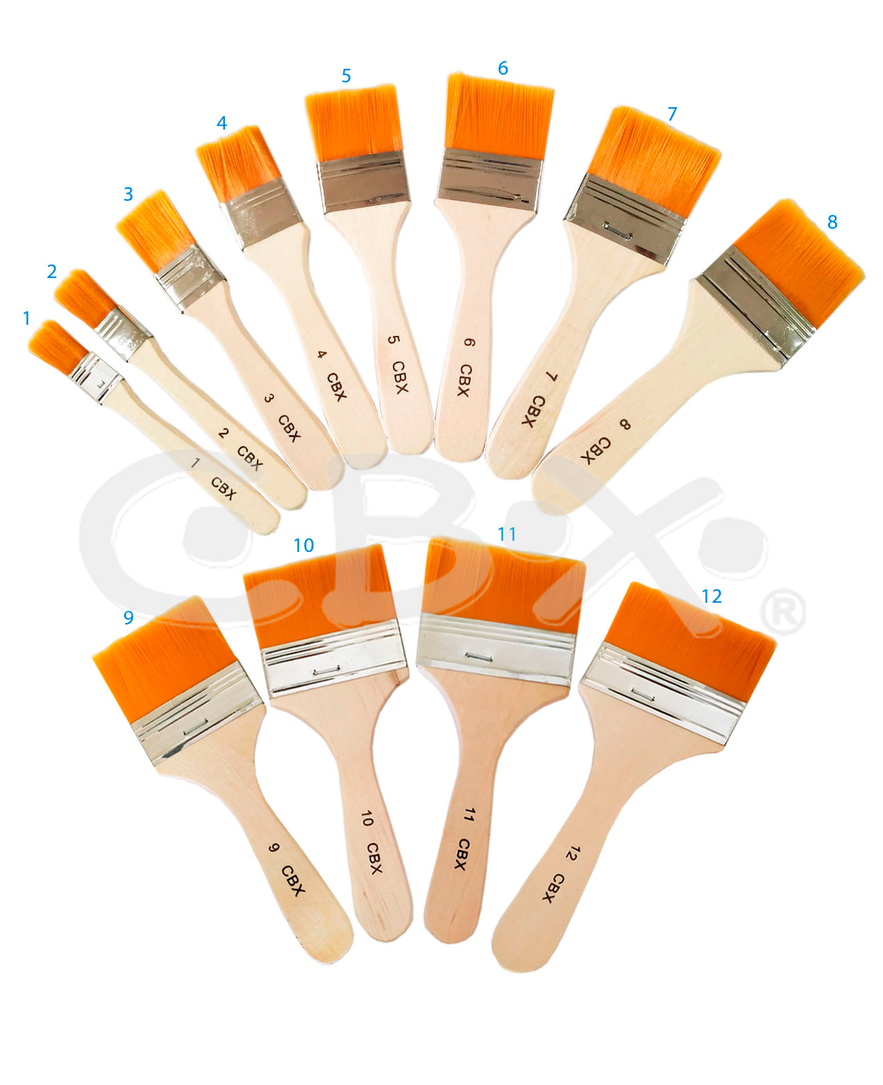 PINCELETA CBX N° 12 X 30 UN