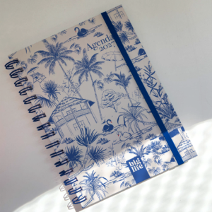 AGENDA BIG LIFE 16*22 CISNES DXP 2027
