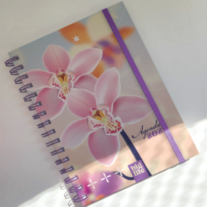 AGENDA BIG LIFE 16*22 ORQUIDEA SEMANA A LA VISTA 2027