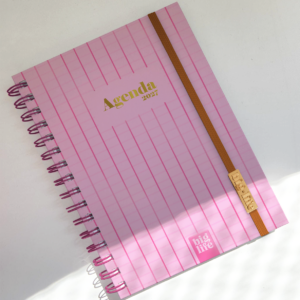 AGENDA BIG LIFE 16*22 PASTEL DXP 2027